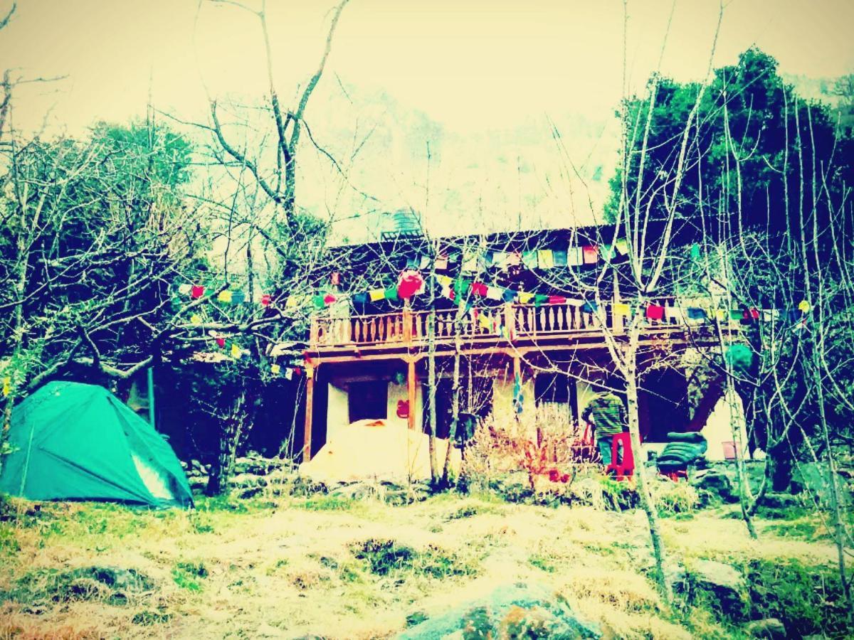 Hostel Vatika For Backpackers