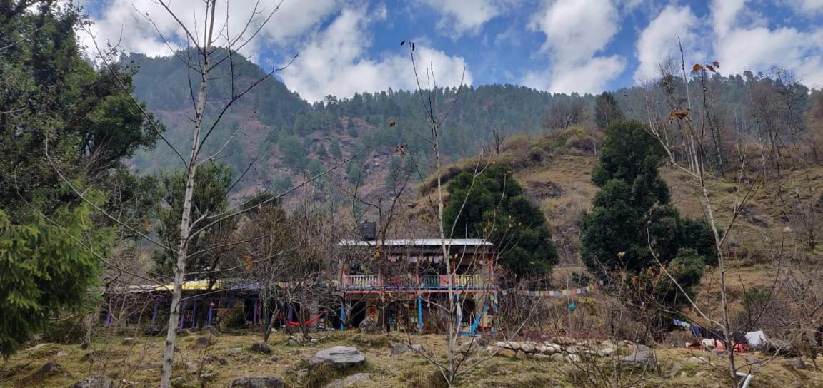 Vatika For Backpackers * Manali (Himachal Pradesh)